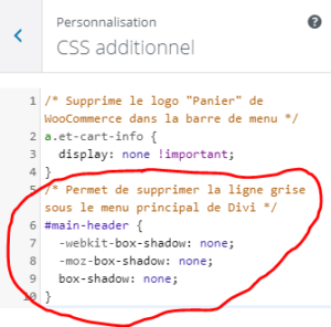 divi : ajout css ligne grise du menu