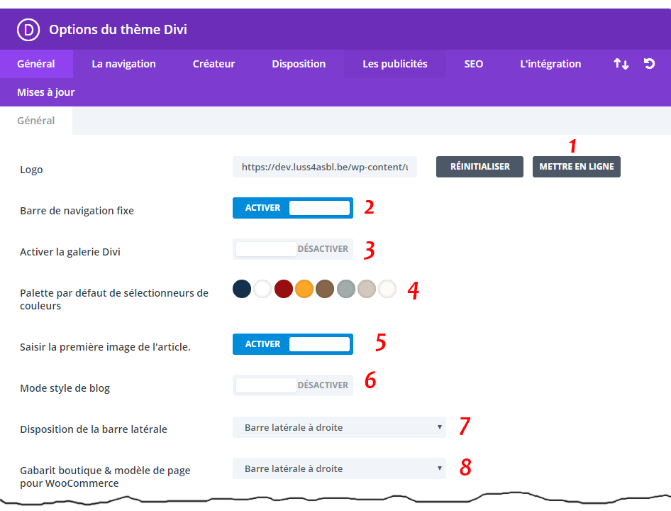 Divi : onglet général I